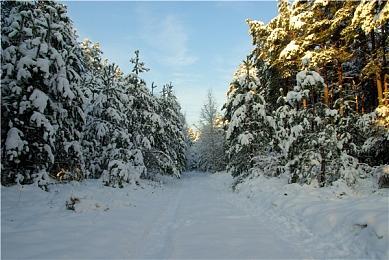 《俄罗斯方块永恒篇》现已上市 Steam褒贬不一